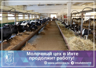 Молочное направление в деятельности ООО «Агрокомплекс «Инта Приполярная» будет сохранено